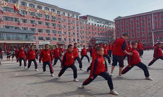 少林寺学校一年学费
